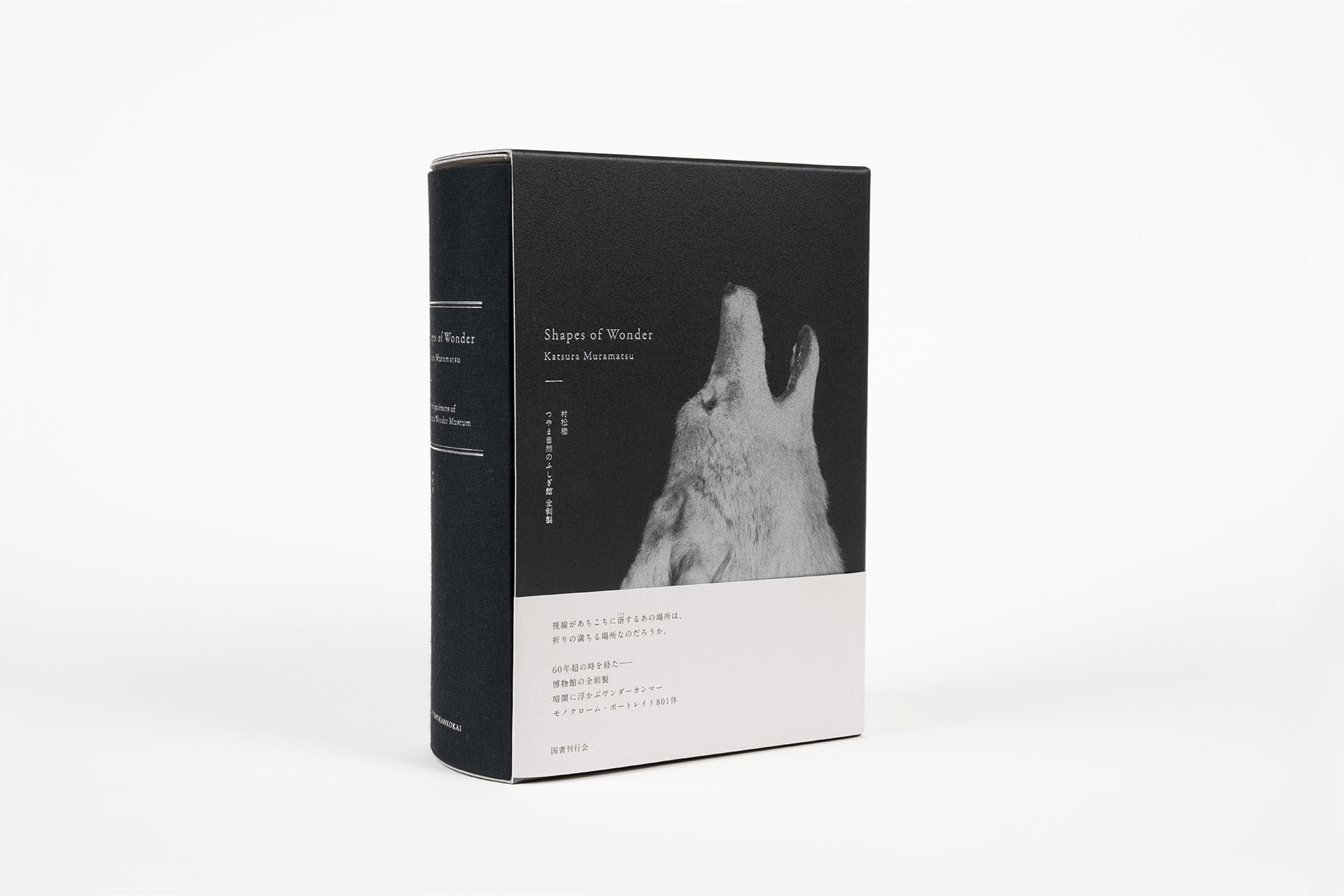 Shapes of Wonder つやま自然のふしぎ館 全剥製