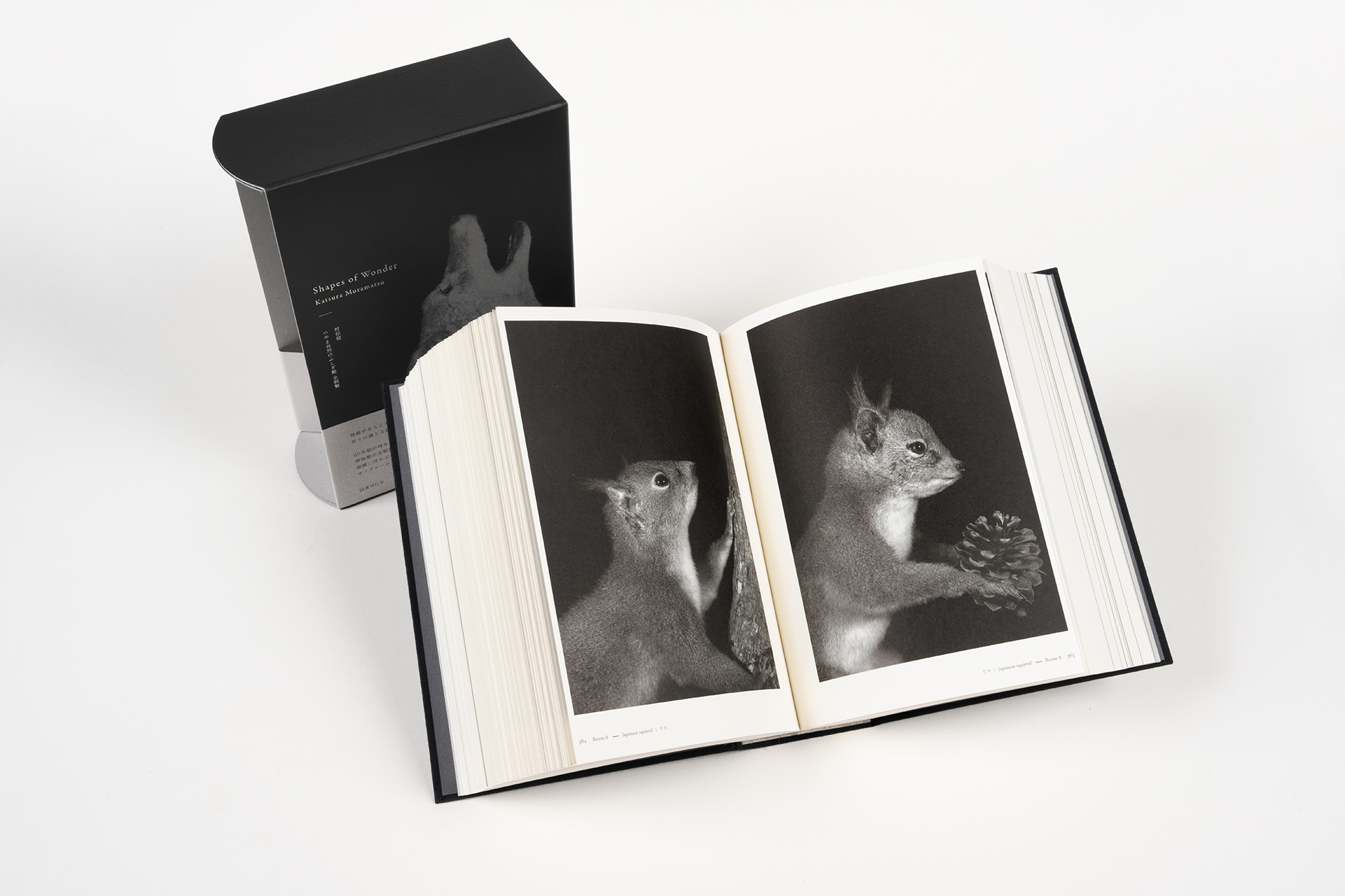 Shapes of Wonder つやま自然のふしぎ館 全剥製