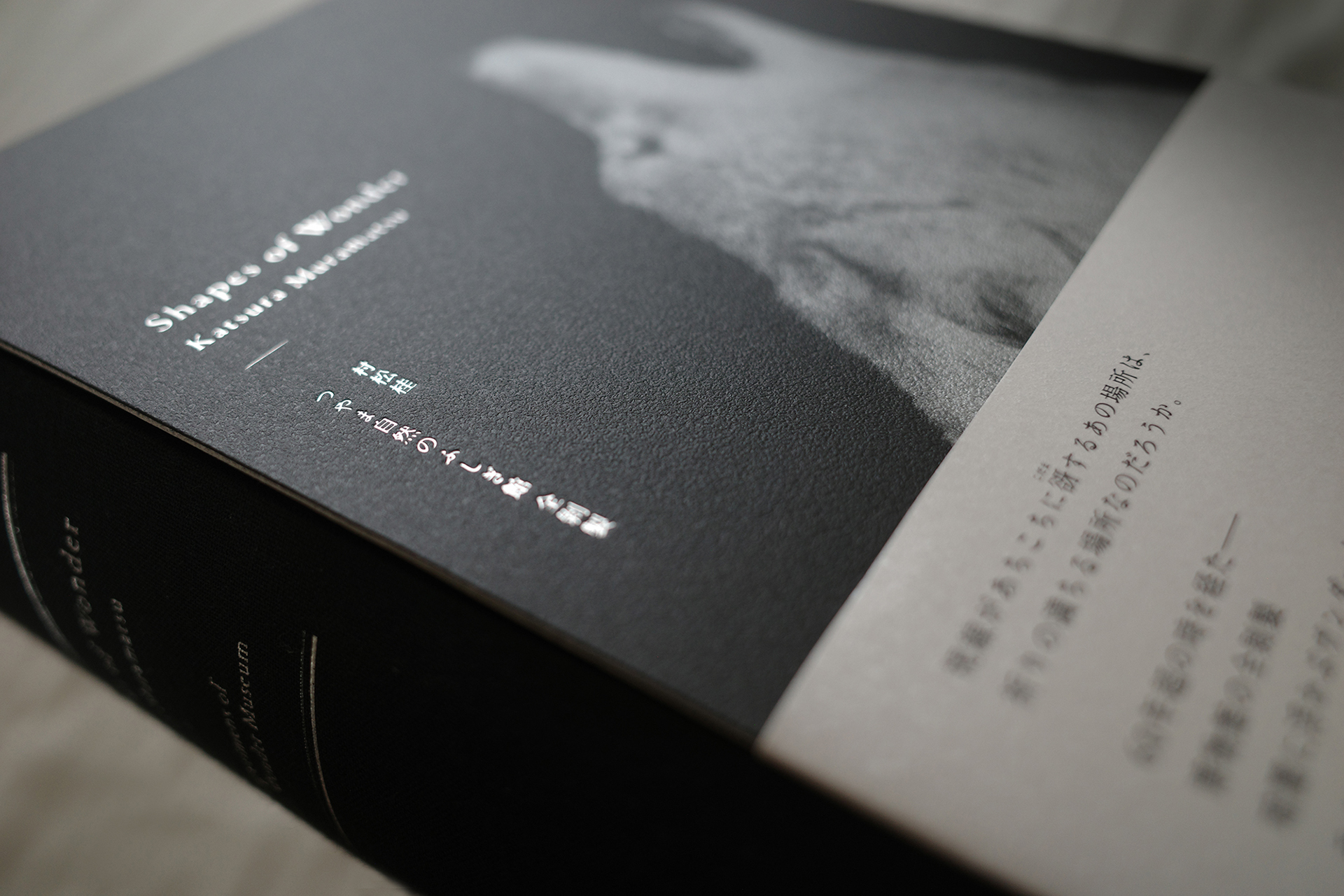 Shapes of Wonder つやま自然のふしぎ館 全剥製